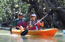 Damas Island Kayaking Mangrove Tour from Manuel Antonio