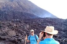 Day Tour to Pacaya Volcano from Antigua Guatemala on Private Vehicle