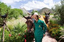 Full-Day Trip To Visit the Magical Anima Garden & Imlil Valley