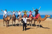 Camel Ride on Tangier Beach 