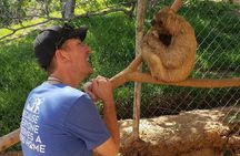 Roatan animal sanctuary and island adventures 