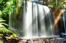 Mount Field Day Tour Private Charter Service