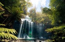 Mount Field Day Tour Private Charter Service
