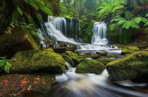 Mount Field Day Tour Private Charter Service