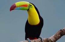 Hiking to Curi-Cancha Reserve