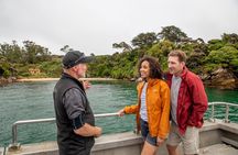 Ulva Island Explorer from Stewart Island