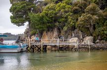 Ulva Island Explorer from Stewart Island