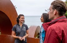 Stewart Island: Village and Bays Tour