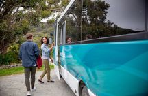 Stewart Island: Village and Bays Tour