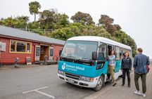 Stewart Island: Village and Bays Tour