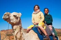 Alice Springs Camel Tour