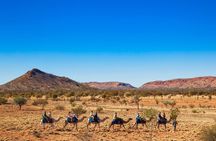 Alice Springs Camel Tour