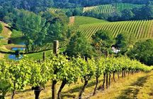 Adelaide Hills Private Day Tour