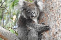 Adelaide Hills Private Day Tour