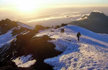 Mount Kilimanjaro Trek 7-Days: Lemosho Route 