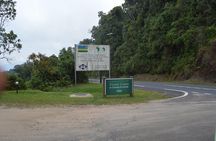 2 days Chimpanzee Tracking and Canopy Walk Nyungwe