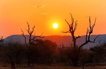 Kruger National Park Night Safari minimum 4people 