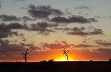 Kruger National Park Night Safari minimum 4people 
