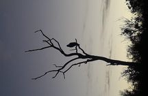 Kruger National Park Night Safari minimum 4people 