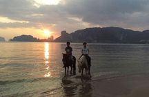 Sunset Horse Riding And BBQ Dinner Tour At Ao Nam Mao Beach Krabi