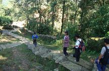 2 Days Panchase Hill Trek from Pokhara