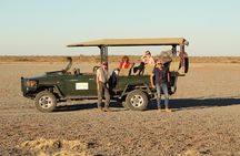 8 Days Moremi - Chobe Mobile Safari with Mukoro