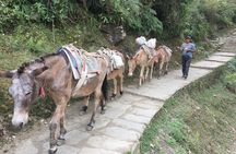 2 Days Ghandruk Village Hiking from Pokhara