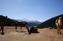 Ourika Valley Full-Day Trip