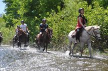Kusadasi Horseback Riding