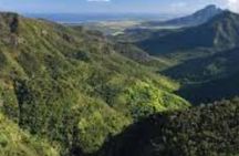 South Tour Full Day - Trou aux Cerf, Alexandra Falls, Black River Gorges etc..
