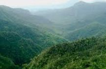 South Tour Full Day - Trou aux Cerf, Alexandra Falls, Black River Gorges etc..