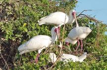 Day Trip to Selous National Park from Zanzibar or Dar es salaam
