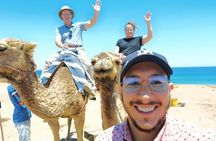 Camel Ride on Tangier Beach 