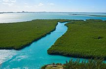 Cancun Mangroves Tour with Shared Speed Boats Ride and Snorkelling