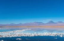 Tour to Laguna Cejar and Tibenquinche