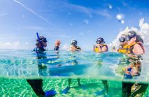 The most EXTREME SPEEDBOAT TOUR in Cancun. Includes Snorkel and Tour Guide