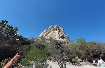 Wine Route in Tequisquiapan with Transportation