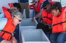 Cabo San Lucas Boat Tour
