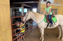 Horseback Rides, Interactions, and Petting Zoo