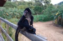 Half Day Roatan Sightseeing and Jungle Island Tour