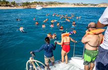 Snorkel Boat and City Shopping Tour