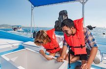 Cabo San Lucas City Tour