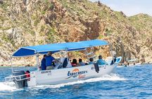 Cabo San Lucas City Tour