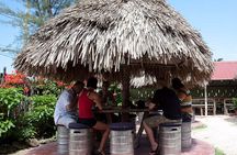 Private Round Trip Transfer for Jamaican Jerk at Scotchie's Ocho Rios