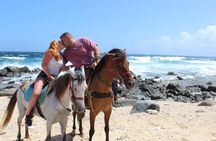 Aruba Beach Ecological Horseback Ride