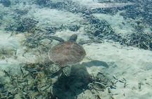 Grand Turk Exclusive Paddle Adventure