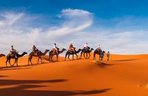 Private Abu Dhabi Evening Desert Safari (Exclusive)