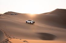 Premium Desert Safari with Lunch under the Ghaf Tree - Private