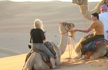 Wahiba Sands Safari with Wadi swimming and Camelride