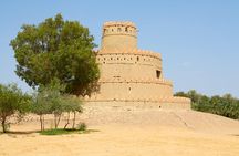 Al Ain Oasis Tour